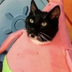 Meet your Posher, Cara